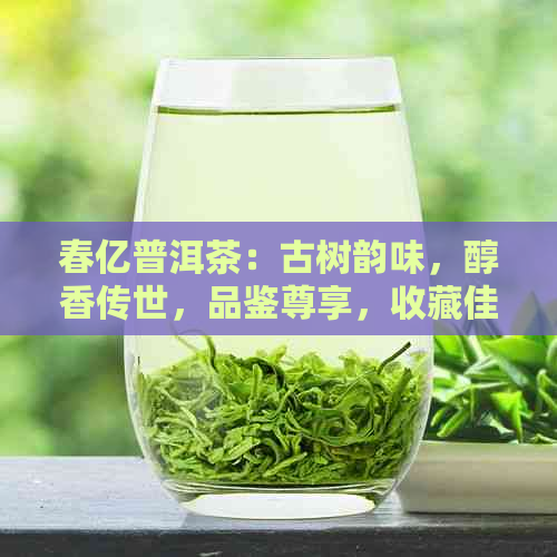 春亿普洱茶：古树韵味，醇香传世，品鉴尊享，收藏佳品