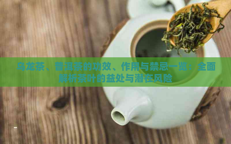 乌龙茶、普洱茶的功效、作用与禁忌一览：全面解析茶叶的益处与潜在风险