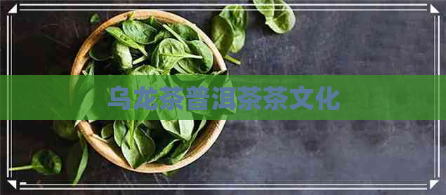 乌龙茶普洱茶茶文化