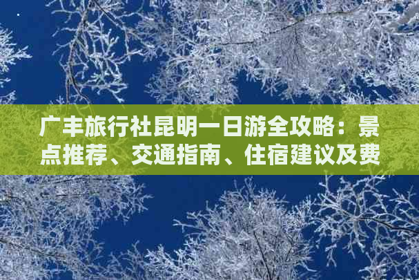 广丰旅行社昆明一日游全攻略：景点推荐、交通指南、住宿建议及费用详解