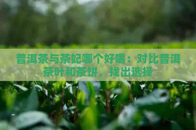 普洱茶与茶妃哪个好喝：对比普洱茶叶和茶饼，找出选择