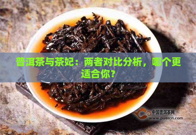 普洱茶与茶妃：两者对比分析，哪个更适合你？