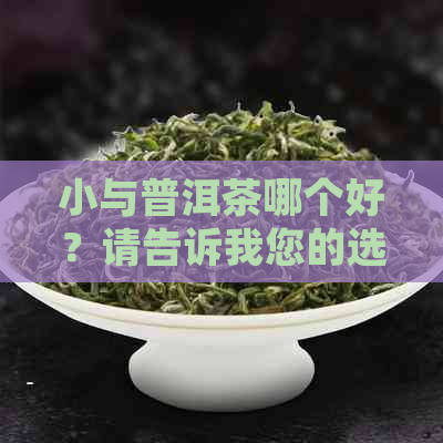 小与普洱茶哪个好？请告诉我您的选择。