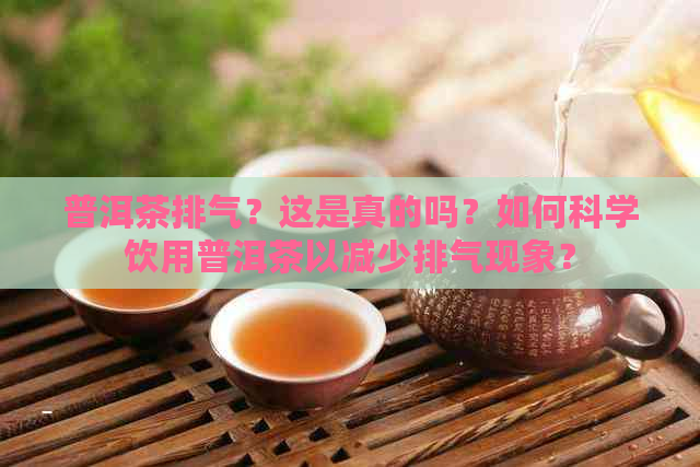 普洱茶排气？这是真的吗？如何科学饮用普洱茶以减少排气现象？