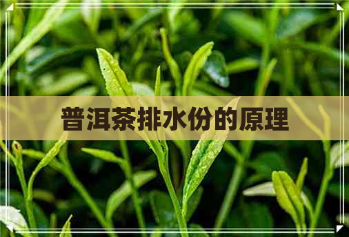 普洱茶排水份的原理