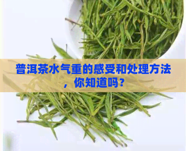 普洱茶水气重的感受和处理方法，你知道吗？