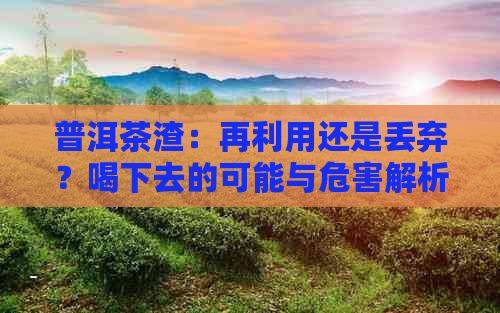 普洱茶渣：再利用还是丢弃？喝下去的可能与危害解析