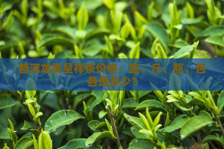 普洱龙凤呈祥茶价格：盒、斤、瓶、包各是多少？