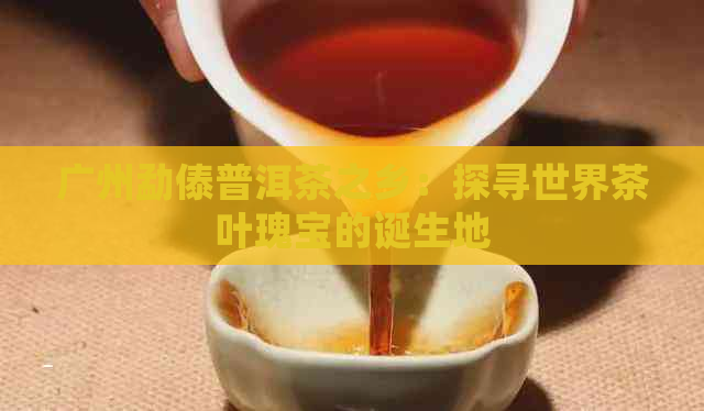 广州勐傣普洱茶之乡：探寻世界茶叶瑰宝的诞生地