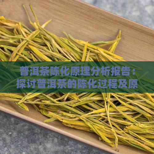 普洱茶陈化原理分析报告：探讨普洱茶的陈化过程及原理