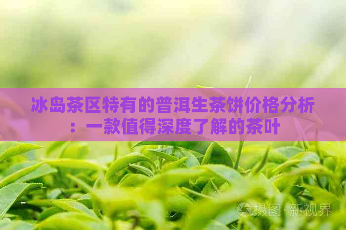 冰岛茶区特有的普洱生茶饼价格分析：一款值得深度了解的茶叶