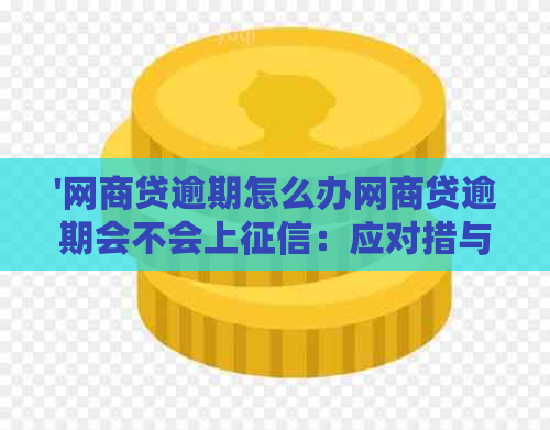 '网商贷逾期怎么办网商贷逾期会不会上：应对措与影响解析'