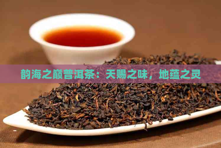 韵海之巅普洱茶：天赐之味，地蕴之灵