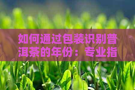 如何通过包装识别普洱茶的年份：专业指南与实用技巧