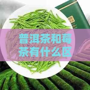 普洱茶和莓茶有什么区别及功效：对比这两种饮品的独特之处及其健益处。