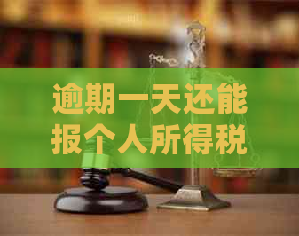 逾期一天还能报个人所得税吗？如何处理逾期申报问题及解决方案