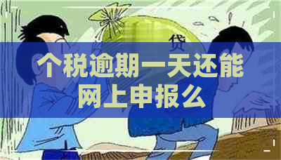 个税逾期一天还能网上申报么