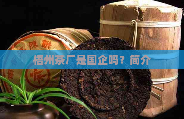 梧州茶厂是国企吗？简介