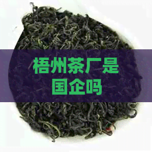 梧州茶厂是国企吗