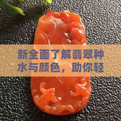 新全面了解翡翠种水与颜色，助你轻松挑选高质量有色翡翠