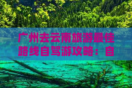 广州去云南旅游更佳路线自驾游攻略：自由行详细指南