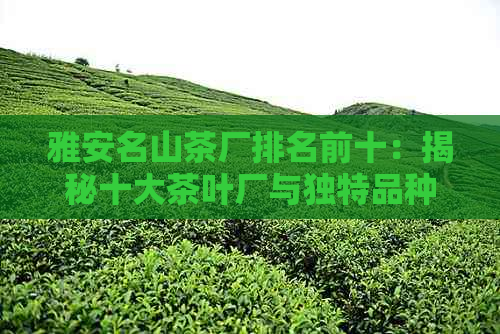 雅安名山茶厂排名前十：揭秘十大茶叶厂与独特品种介绍