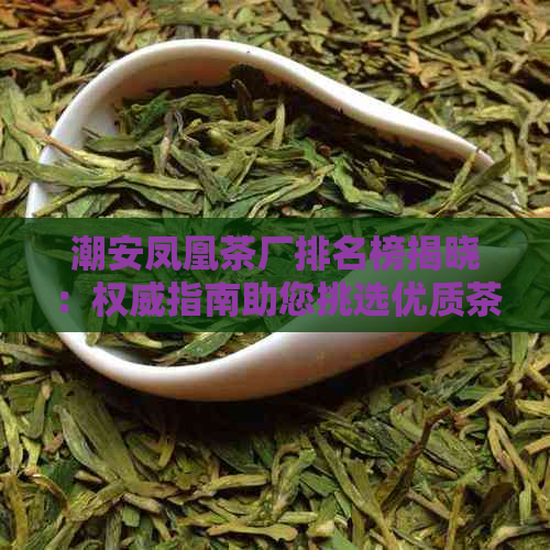 潮安凤凰茶厂排名榜揭晓：权威指南助您挑选优质茶叶