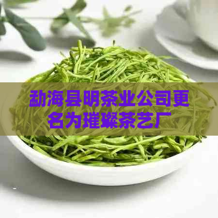 勐海县明茶业公司更名为璀璨茶艺厂