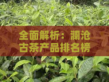 全面解析：澜沧古茶产品排名榜，了解各类茶叶品质与市场趋势