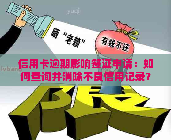 信用卡逾期影响签证申请：如何查询并消除不良信用记录？