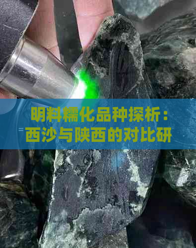 明料糯化品种探析：西沙与陕西的对比研究