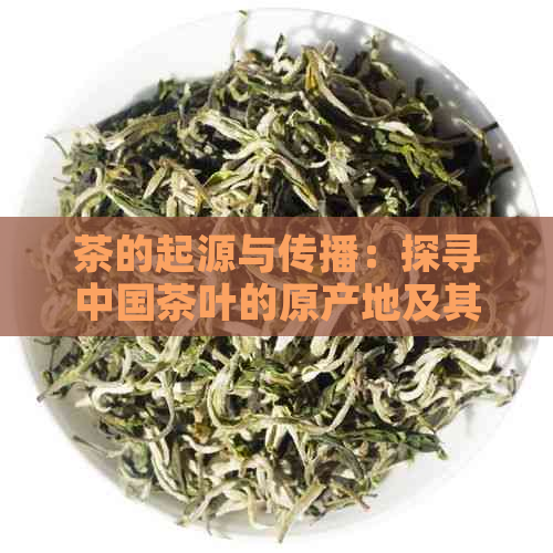 茶的起源与传播：探寻中国茶叶的原产地及其在全球范围内的影响