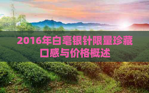 2016年白毫银针限量珍藏口感与价格概述