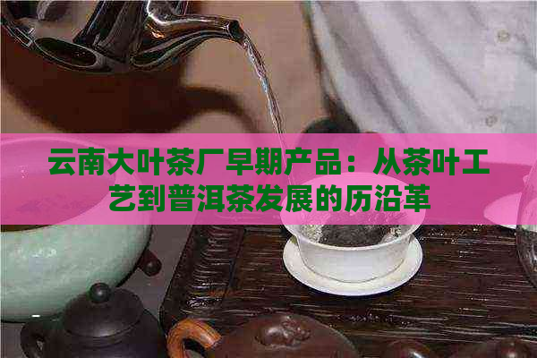 云南大叶茶厂早期产品：从茶叶工艺到普洱茶发展的历沿革