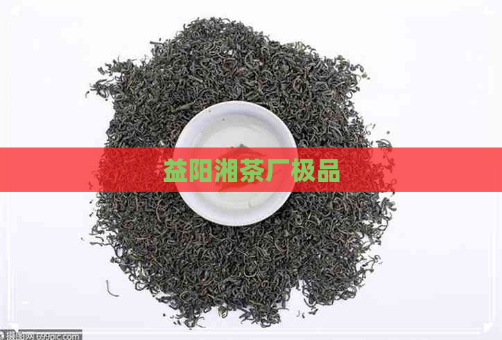 益阳湘茶厂极品