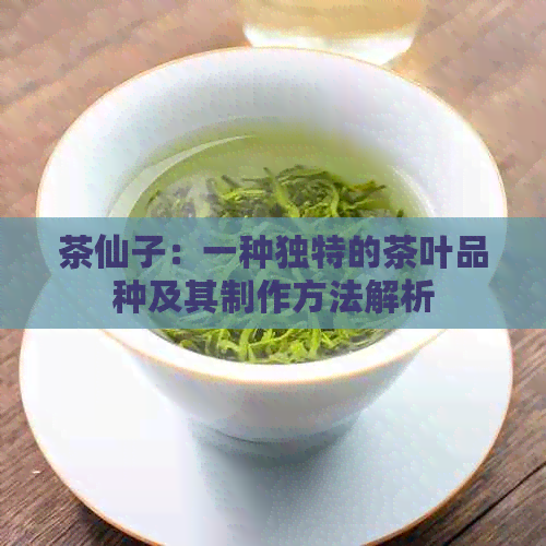 茶仙子：一种独特的茶叶品种及其制作方法解析