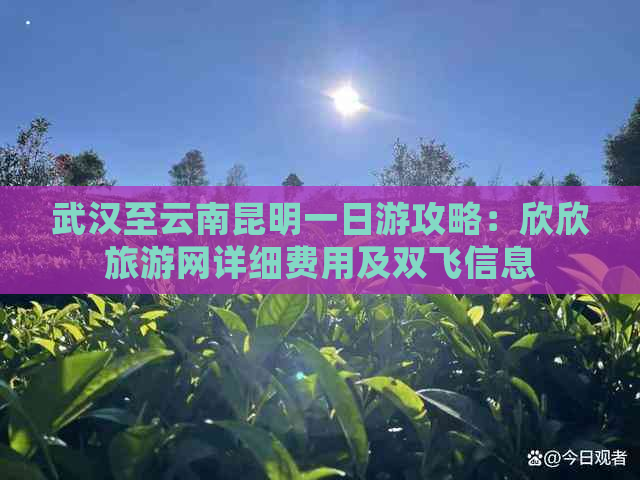 武汉至云南昆明一日游攻略：欣欣旅游网详细费用及双飞信息