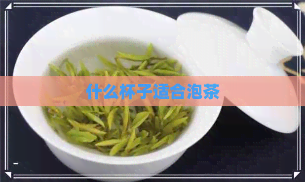 什么杯子适合泡茶