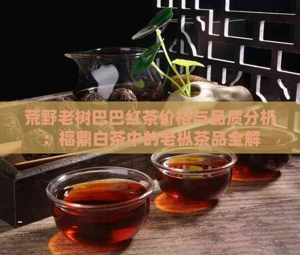 荒野老树巴巴红茶价格与品质分析：福鼎白茶中的老枞茶品全解