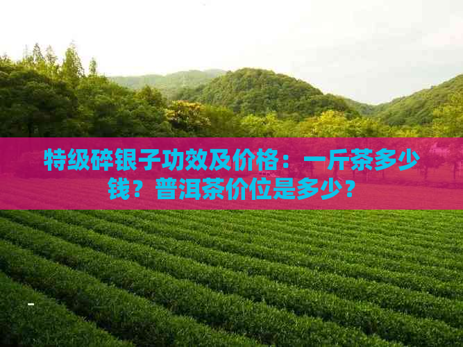 特级碎银子功效及价格：一斤茶多少钱？普洱茶价位是多少？