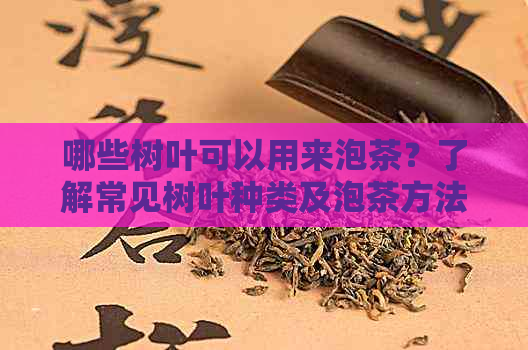 哪些树叶可以用来泡茶？了解常见树叶种类及泡茶方法