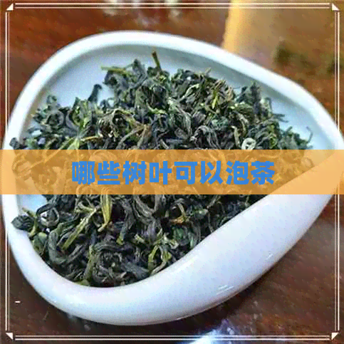 哪些树叶可以泡茶