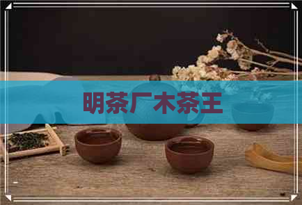 明茶厂木茶王