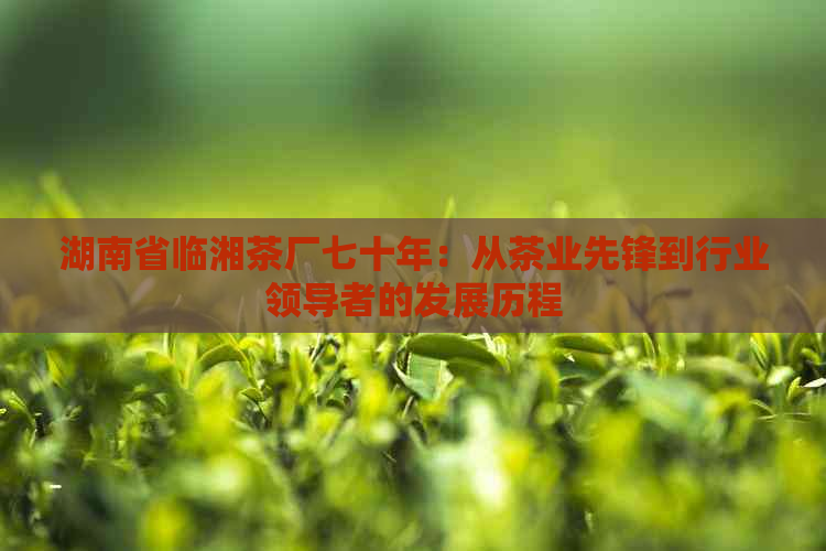 湖南省临湘茶厂七十年：从茶业先锋到行业领导者的发展历程