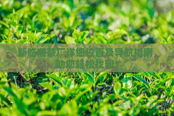 新临湘茶厂详细位置及导航指南，助您轻松找到！