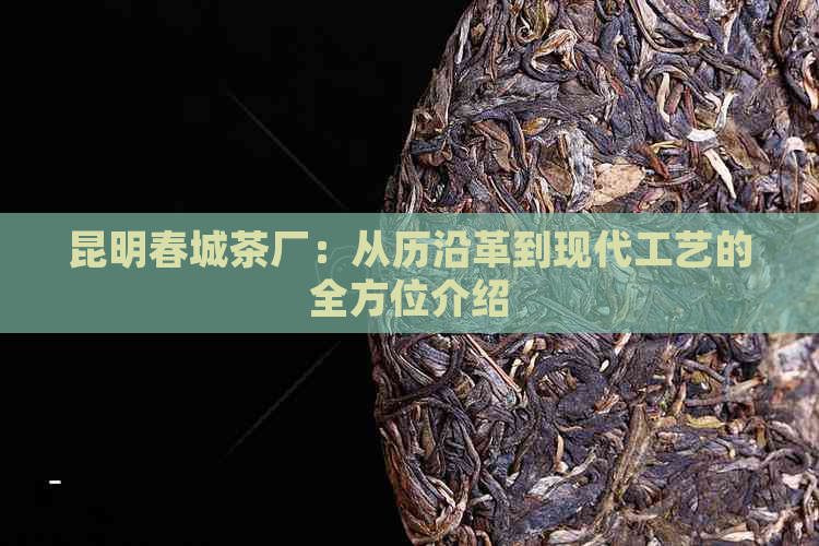 昆明春城茶厂：从历沿革到现代工艺的全方位介绍