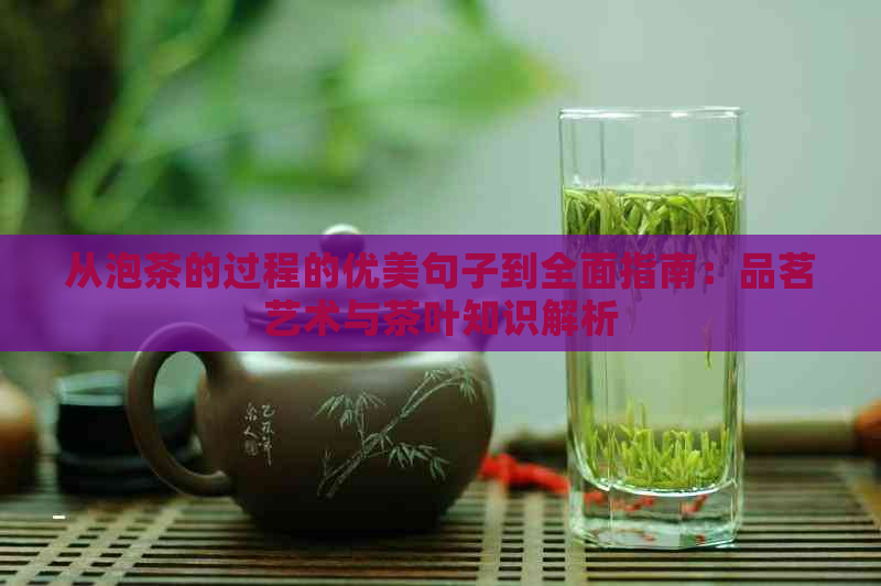 从泡茶的过程的优美句子到全面指南：品茗艺术与茶叶知识解析