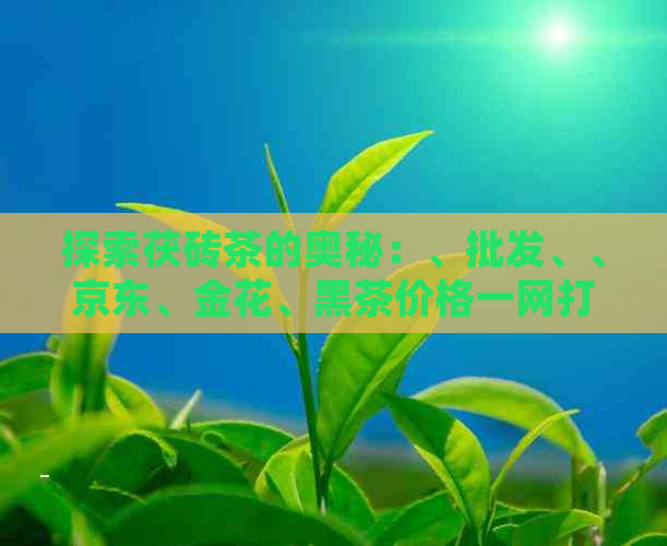 探索茯砖茶的奥秘：、批发、、京东、金花、黑茶价格一网打尽