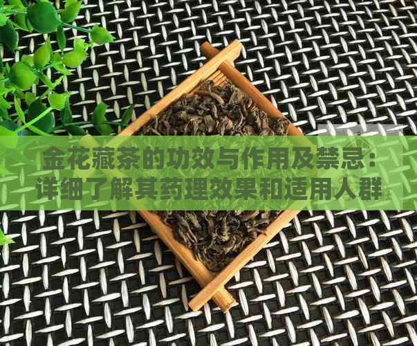 金花藏茶的功效与作用及禁忌：详细了解其药理效果和适用人群