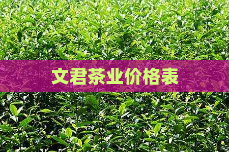 文君茶业价格表